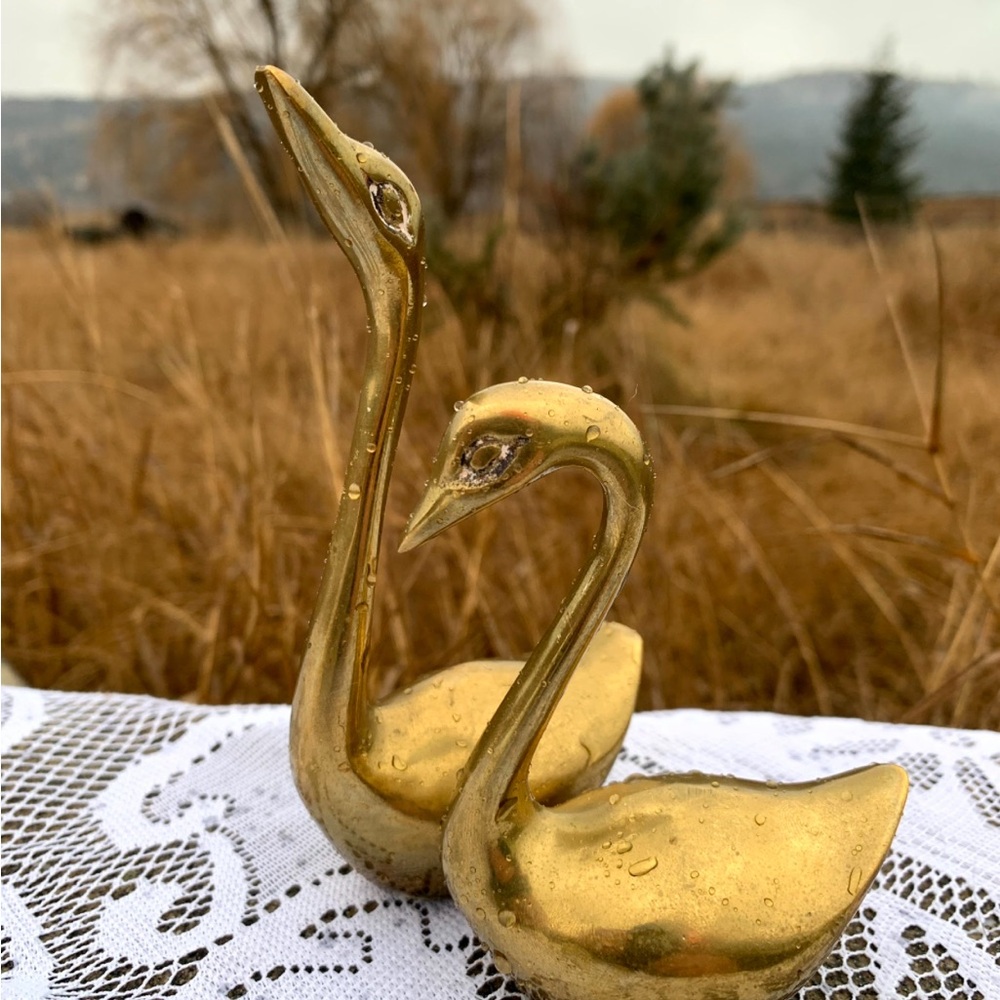 Vintage Brass Swans